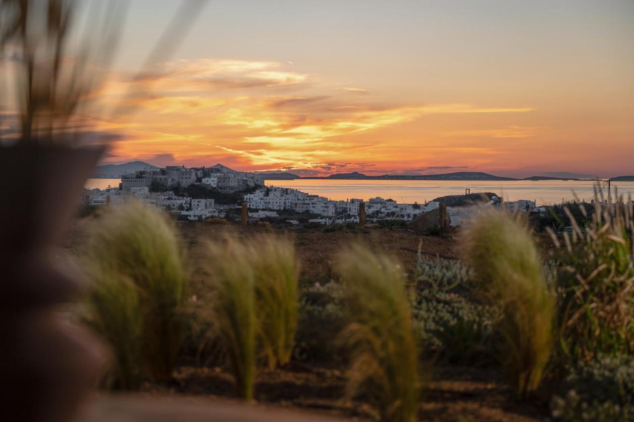 Opuntia Suites Naxos City Exterior foto